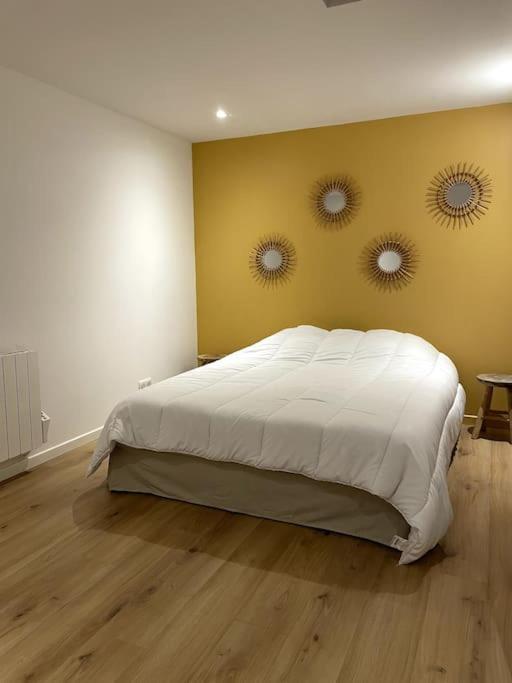 En Hyper Centre Apartment